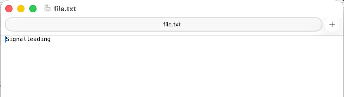 Generated text file opened
